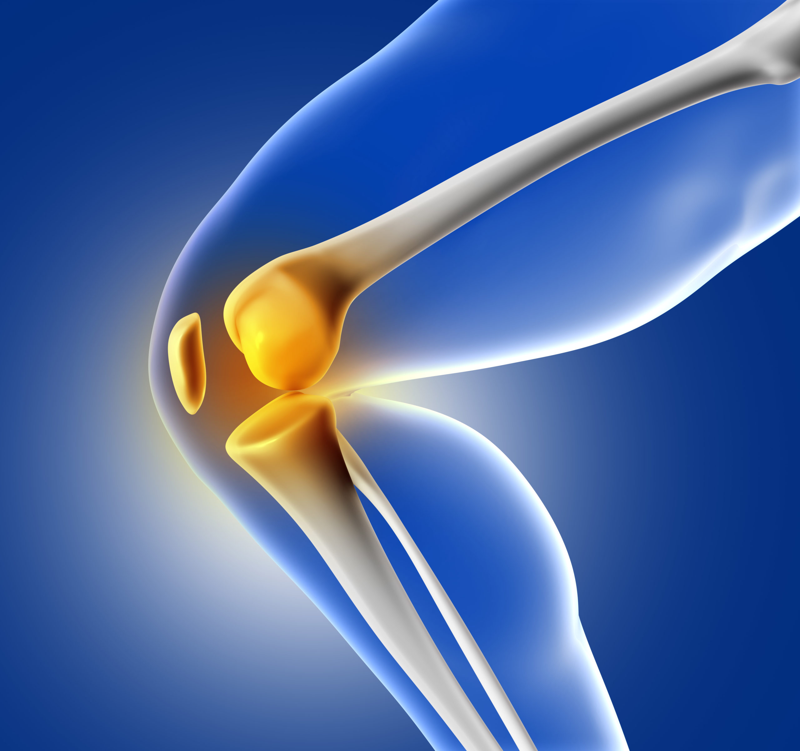 3D blue medical image of knee bone
